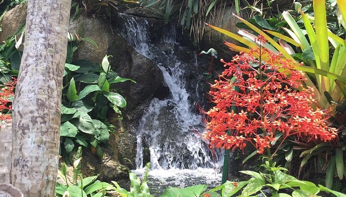 Butterfly Garden Villa