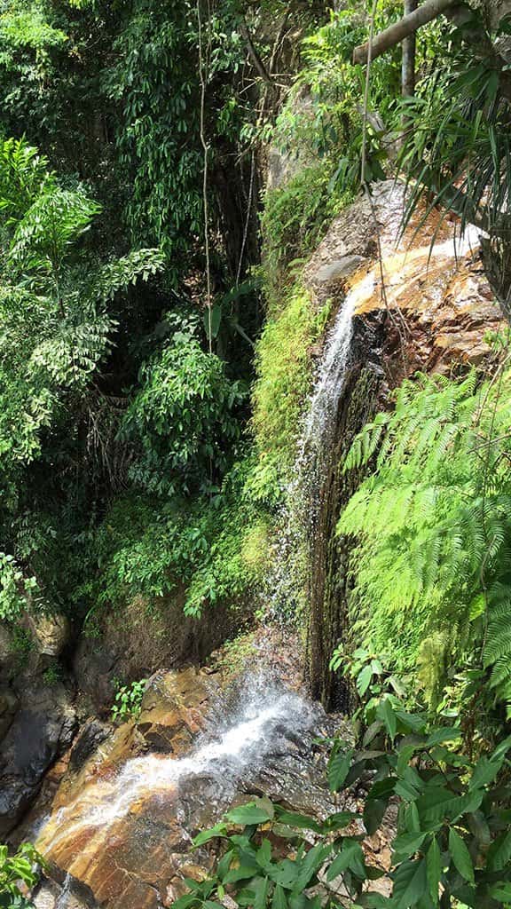 Canopy Adventures Secret Falls