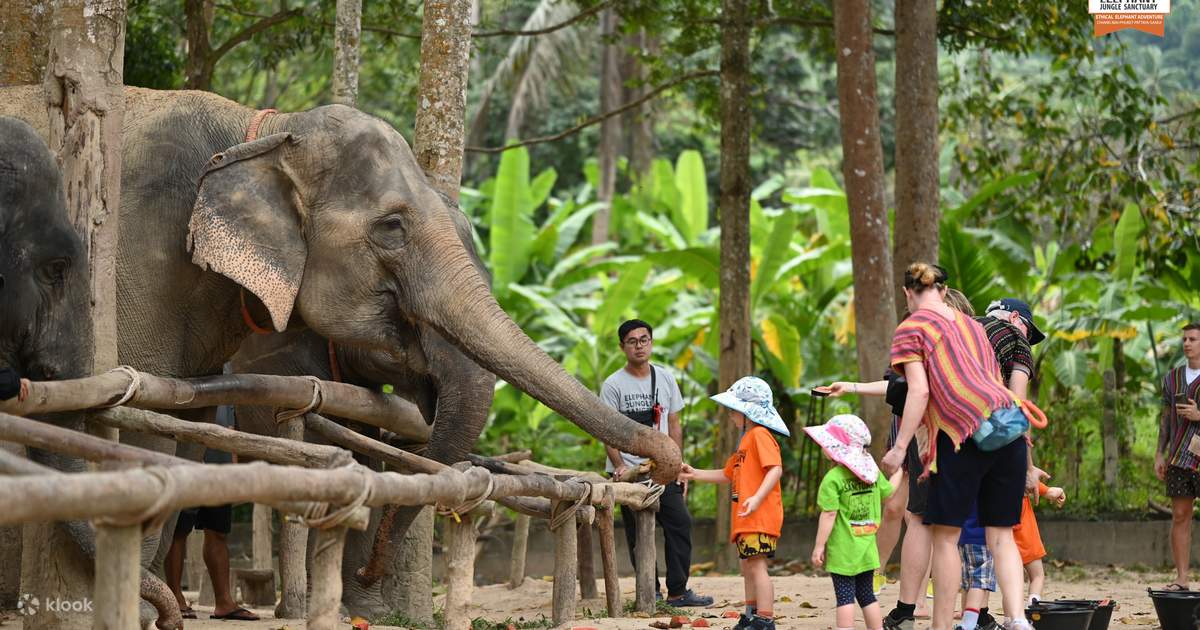 Elephant Jungle Sanctuary Samui