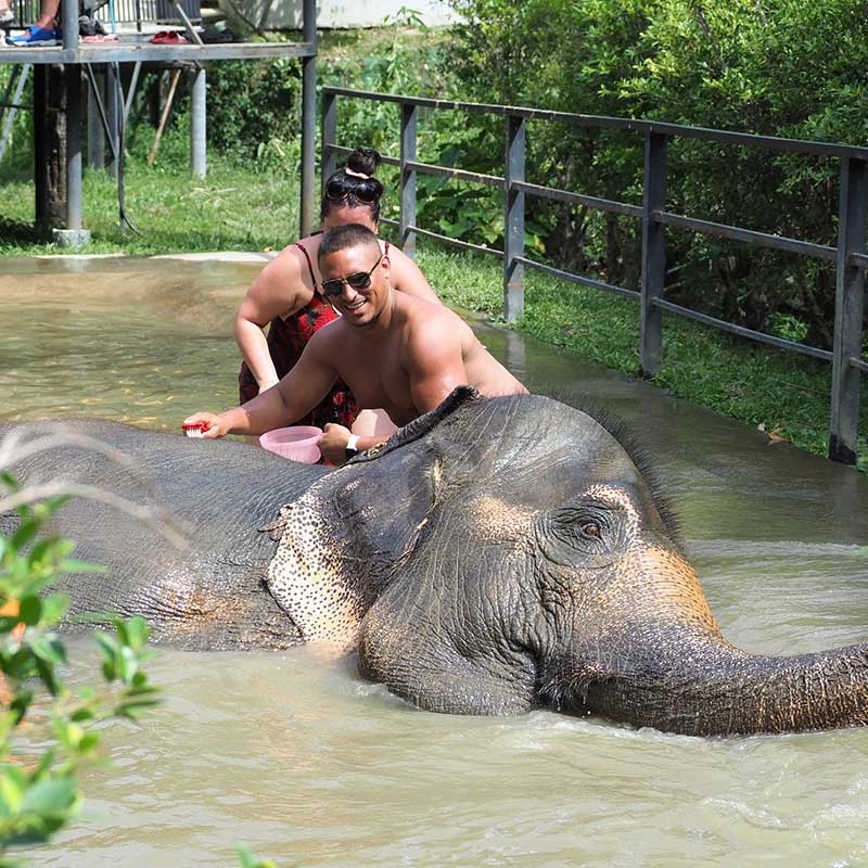 Elephant Jungle Sanctuary Samui
