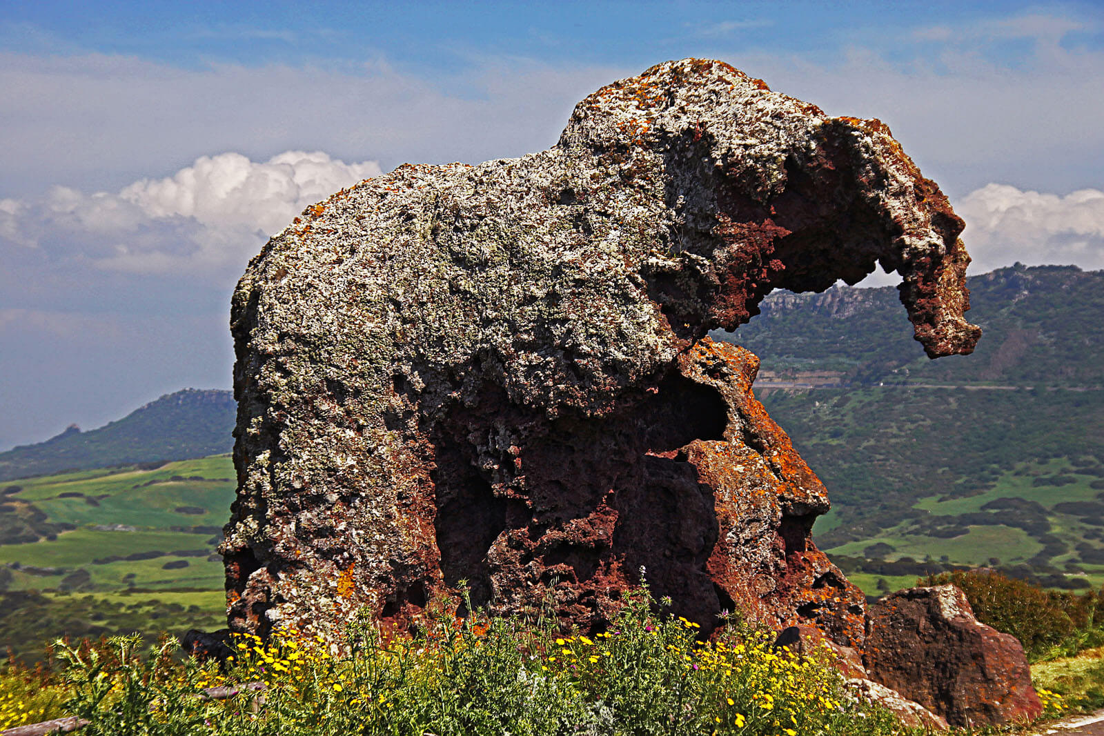 Elephant Rock