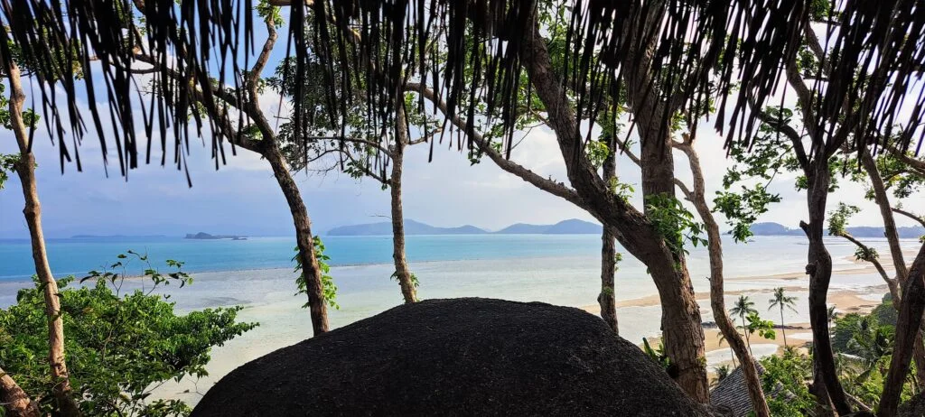 Kamalaya Detox and Wellness Program