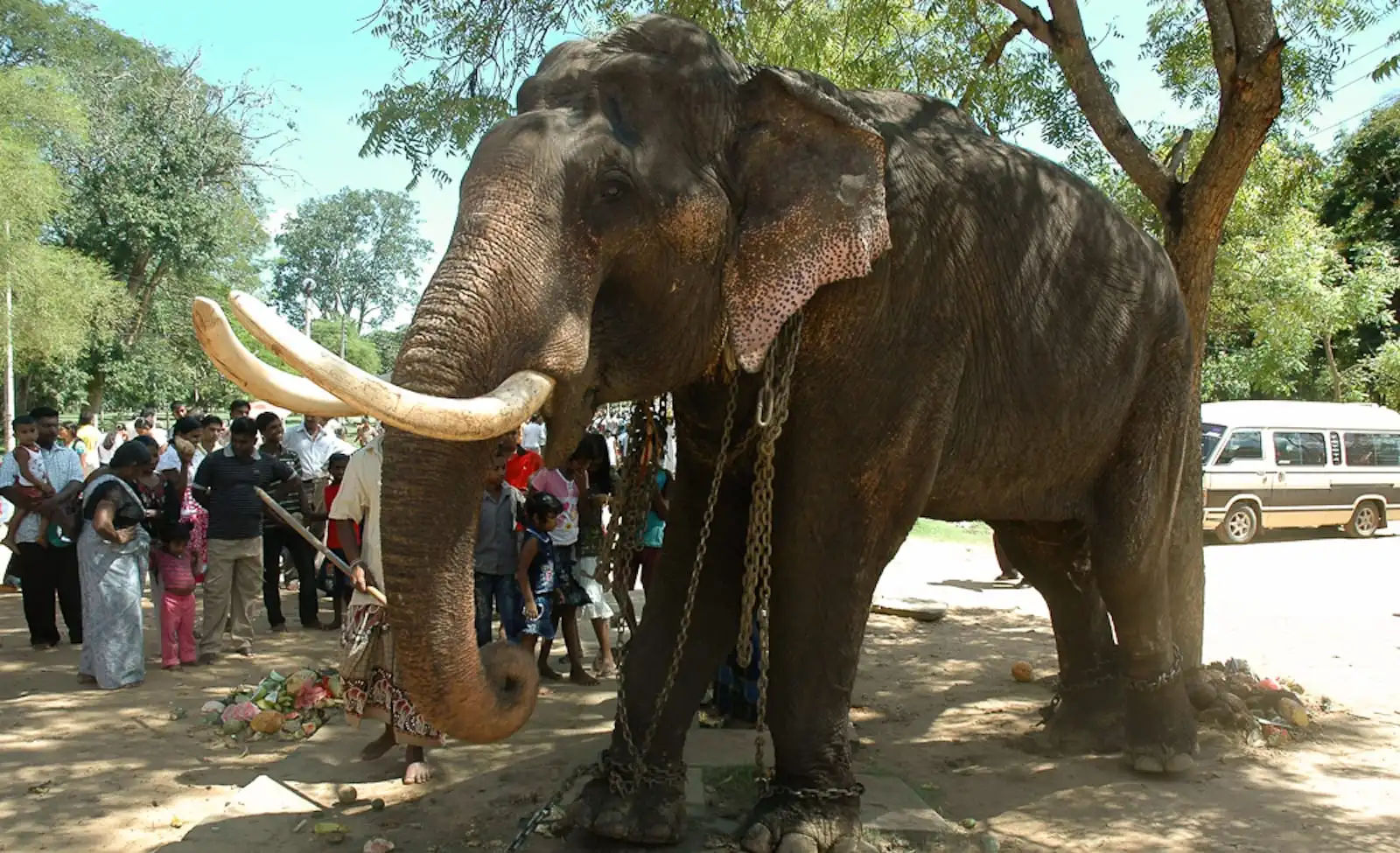 Namuang Safari Park