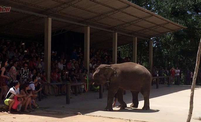 Namuang Safari Park