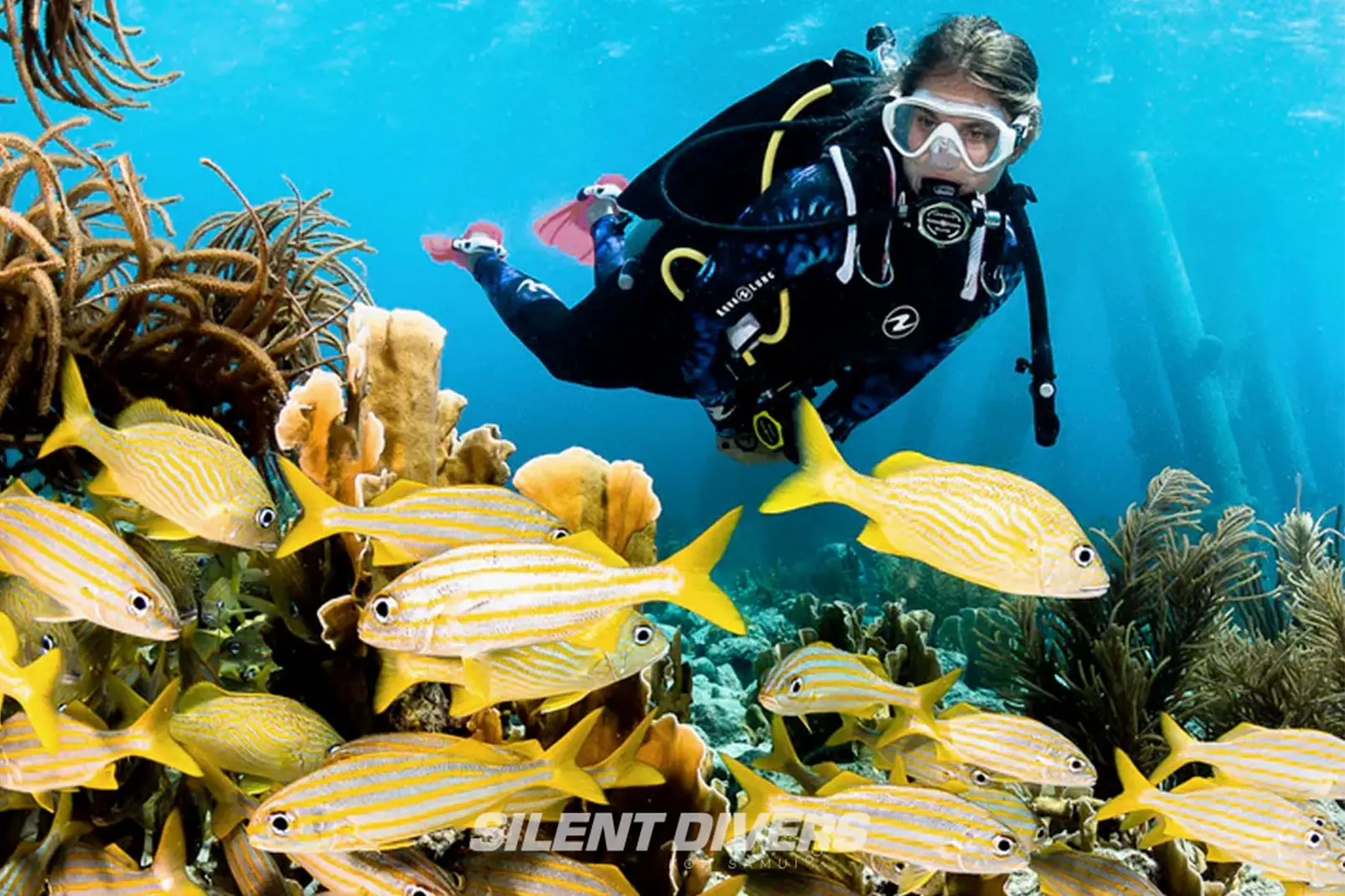 PADI Open Water Diver Course in Koh Samui