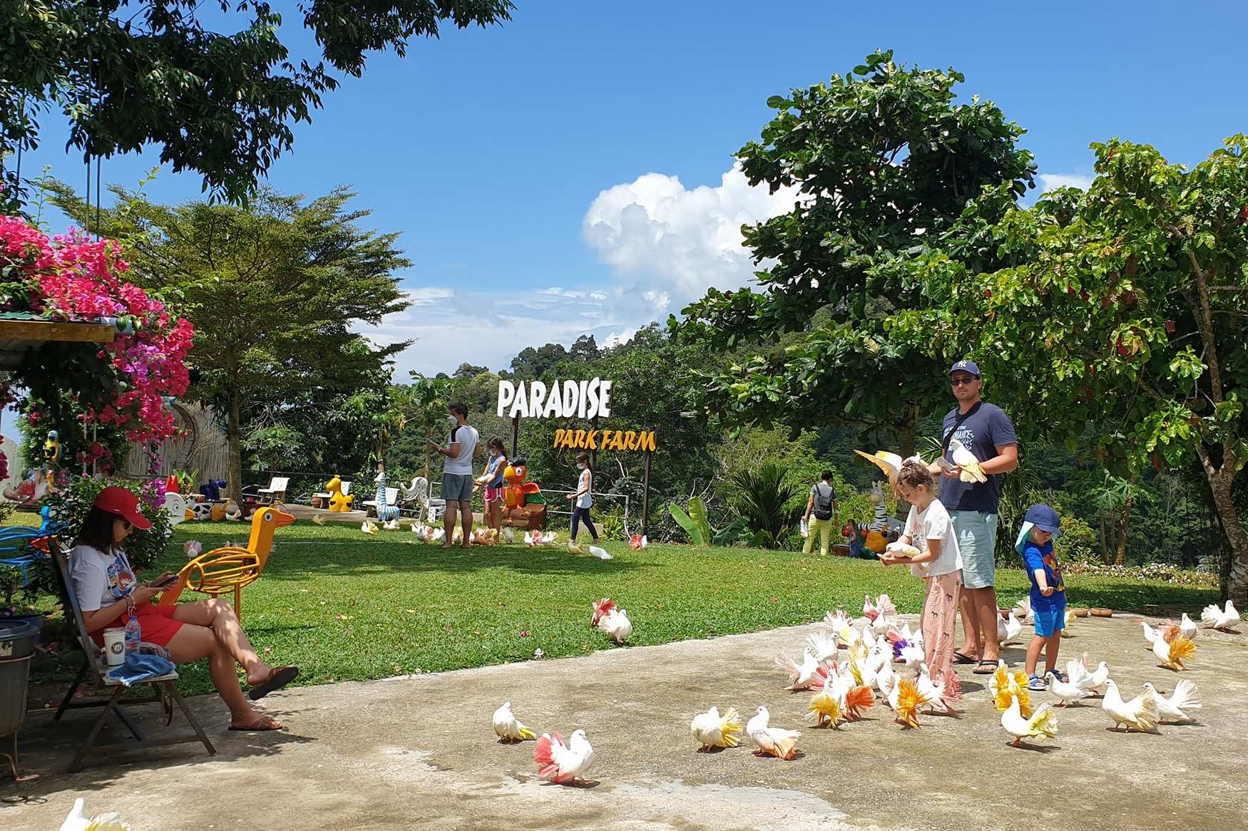Paradise Park​ Farm