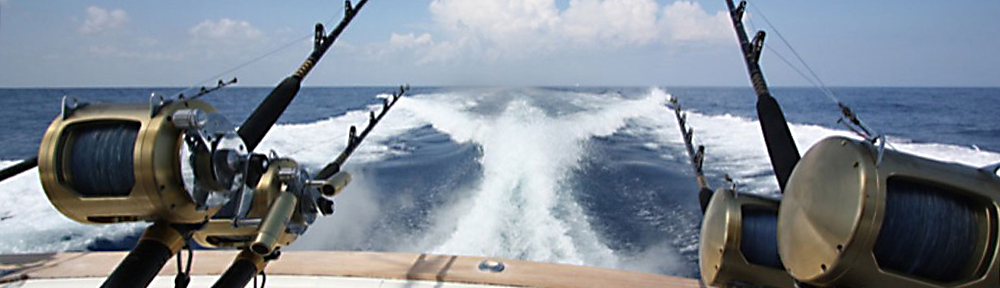 Koh Samui Sport Fishing Big Game Trolling