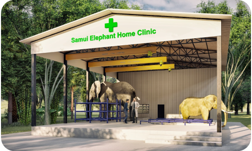 Samui Elephant Home