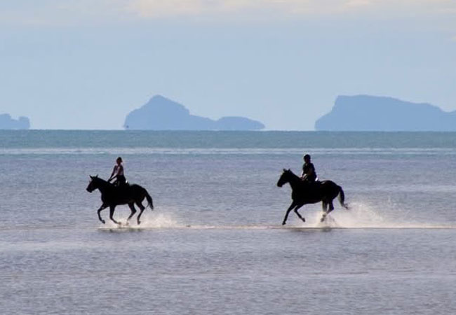 Samui Horse Riding Beach Lipa Noi Sunset