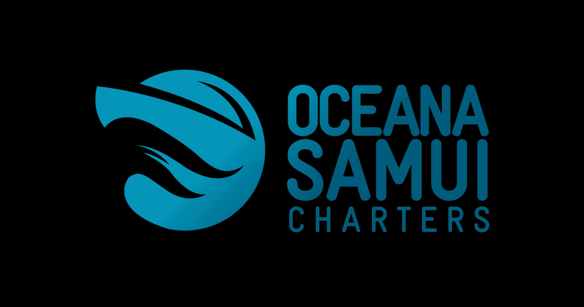 Samui Private Speedboat Charter Tour