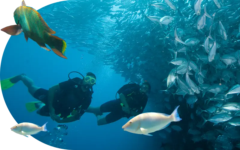 Samui Scuba Diving Discovery (PADI Discover Scuba Diving)