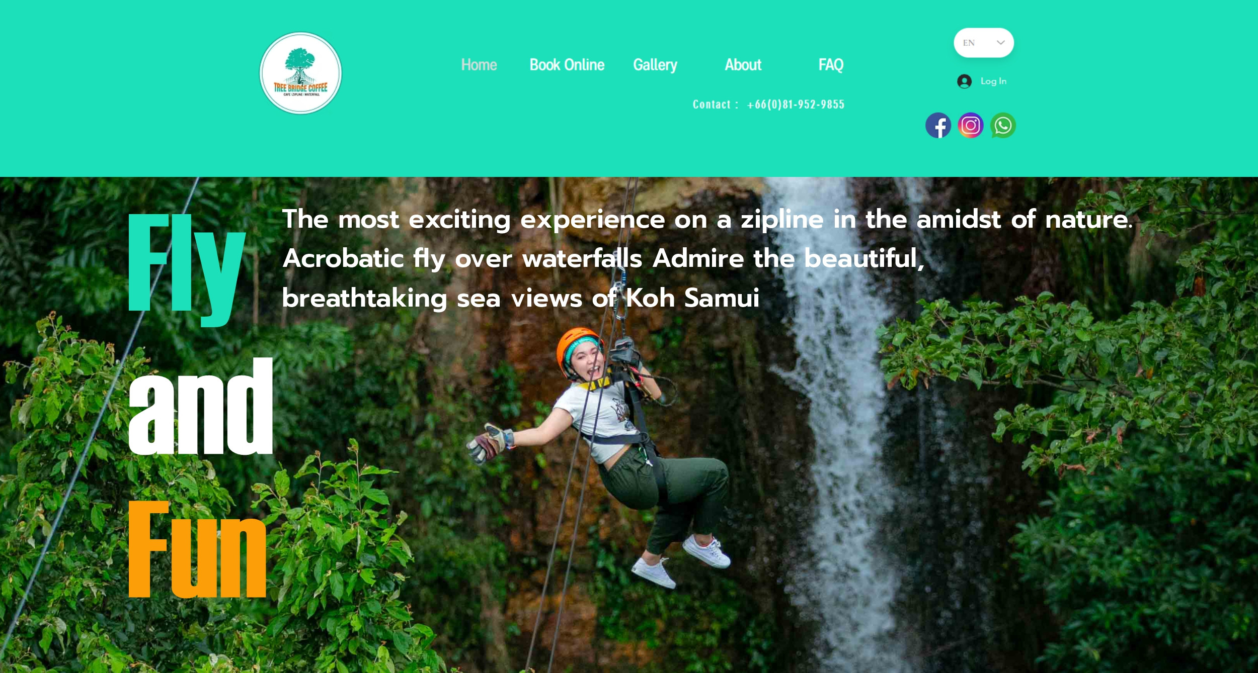 Tree Bridge Zipline Canopy Tour