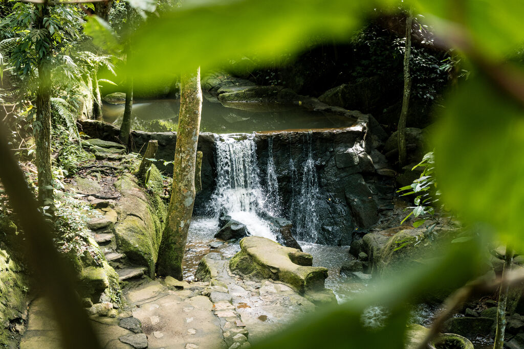 Secret Buddha Garden (Magic Garden)