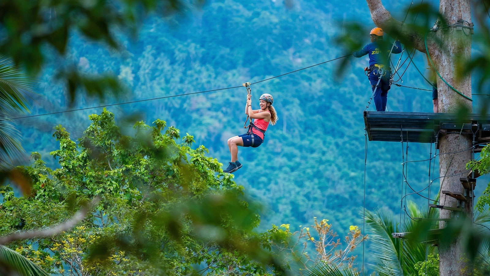 Tree Bridge Zipline Samui – Canopy Walk Adventure